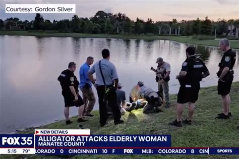 com Open 1. . Woman attacked by alligator video reddit